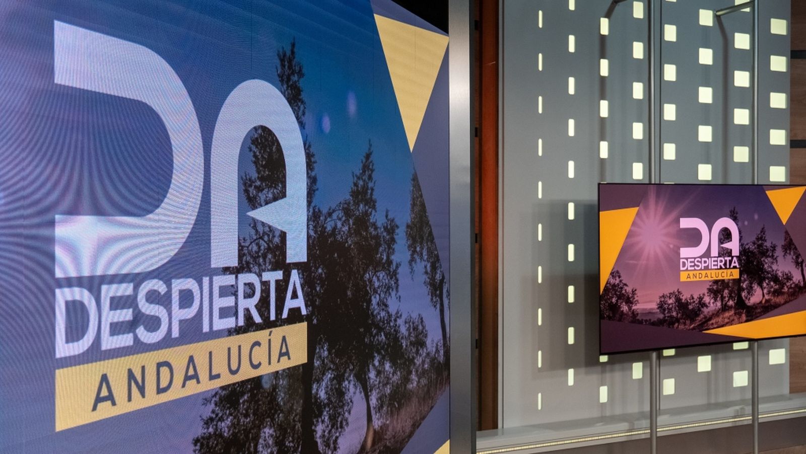 Despierta Andalucía