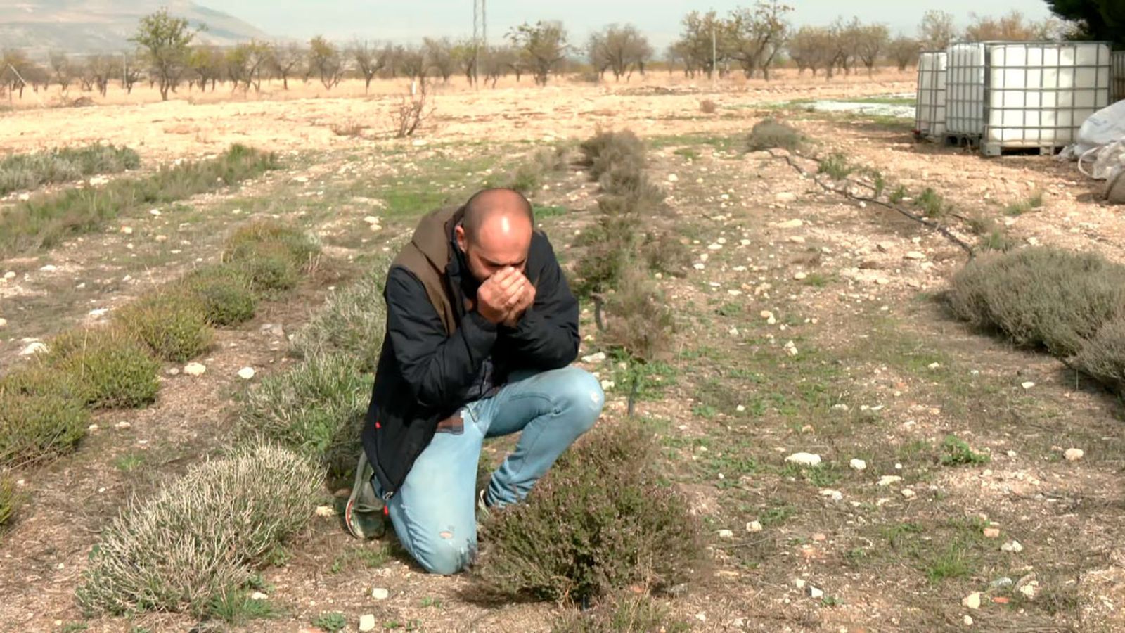 Una experiencia aromática en el Geoparque de Granada