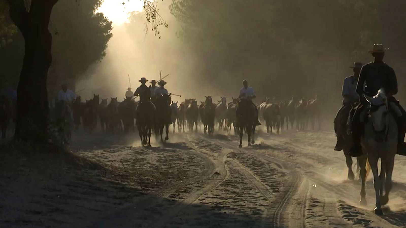 La ancestral fiesta de la saca de las yeguas
