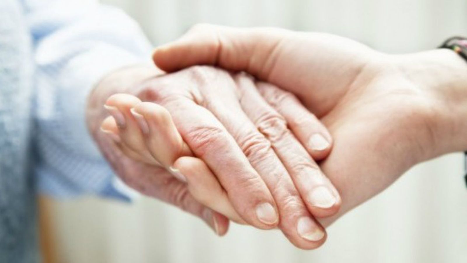 solidarios