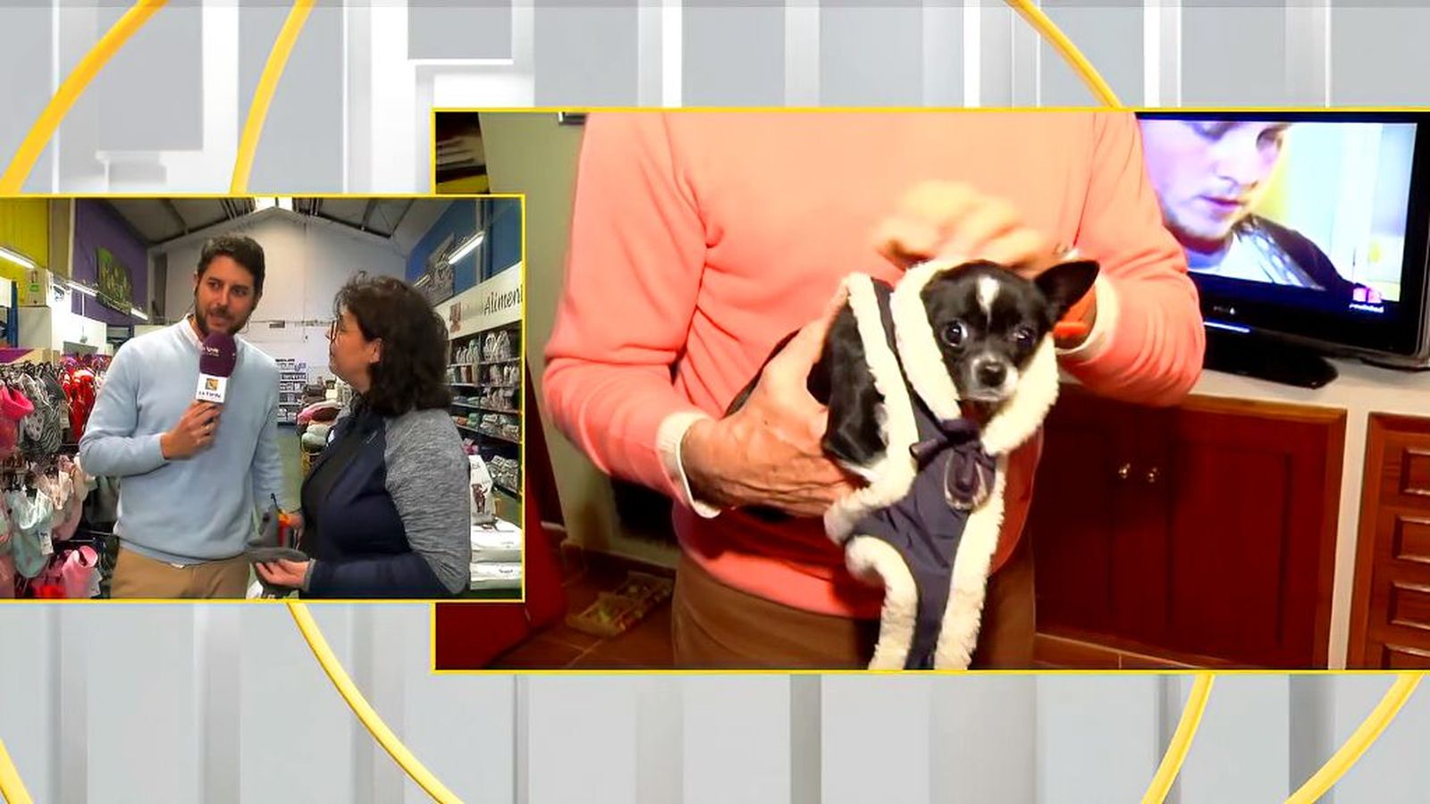 Las mascotas se ponen guapas este invierno con abrigos, disfraces y mucho estilo