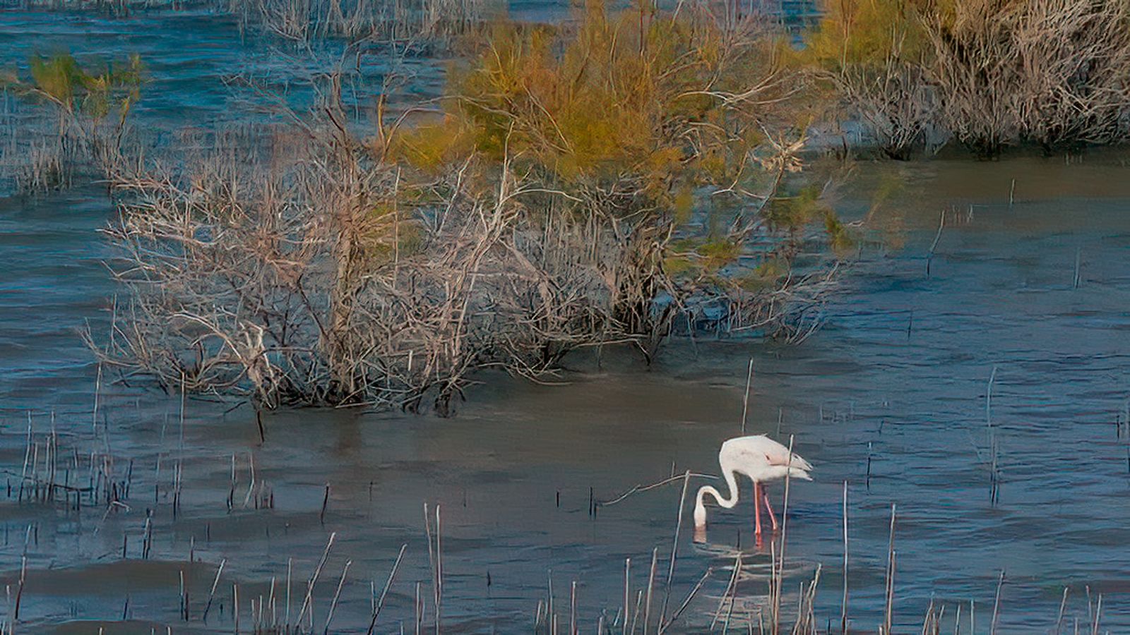 Las lagunas de Campillos, un maravilloso caleidoscopio en el interior de Málaga