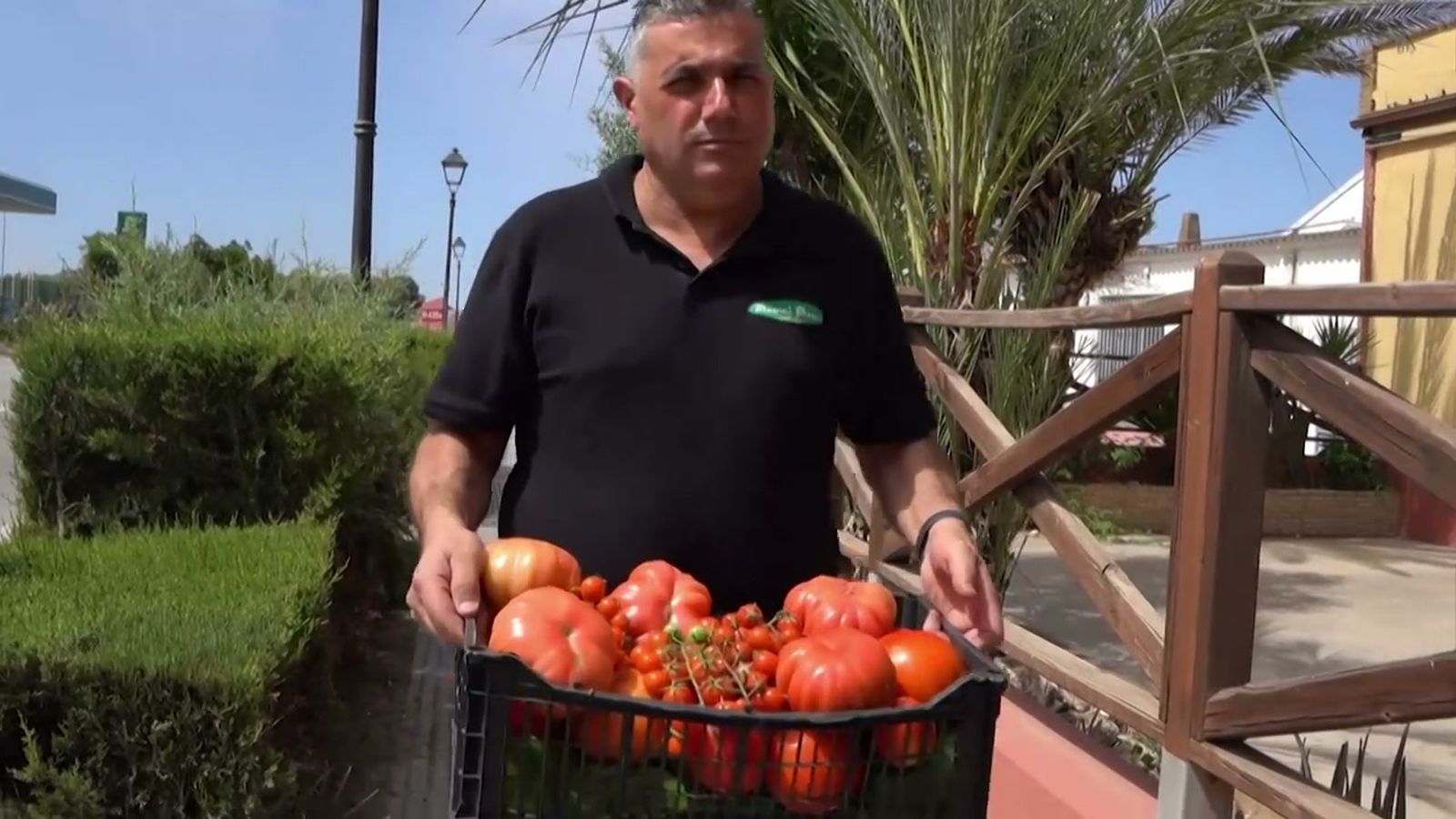 Comprobamos el potencial de los productos de temporada con el tomate de Beas