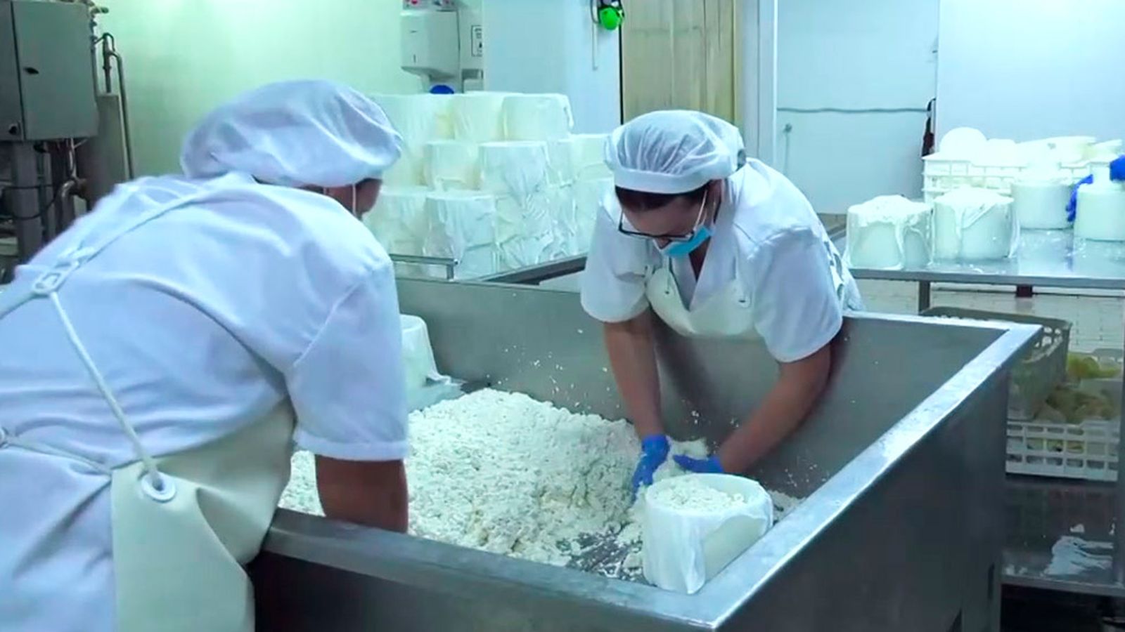 Descubrimos los secretos del queso artesano de Campillo