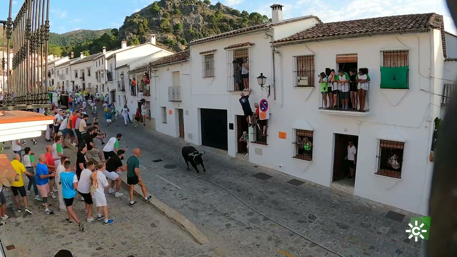 Grazalema celebra la fiesta de 'toro ensogado' más antigua de España