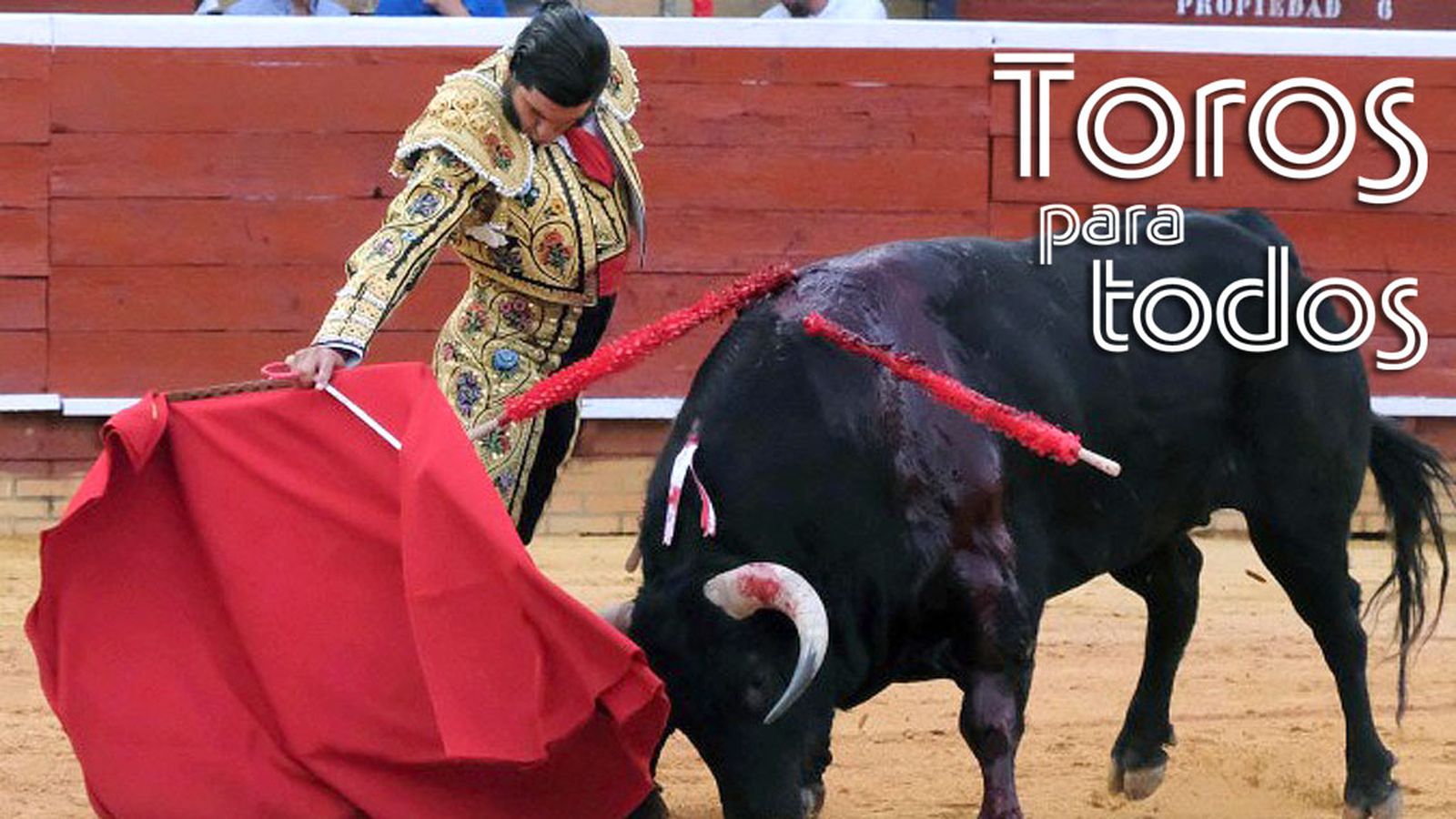 Comunicación Toros Foto