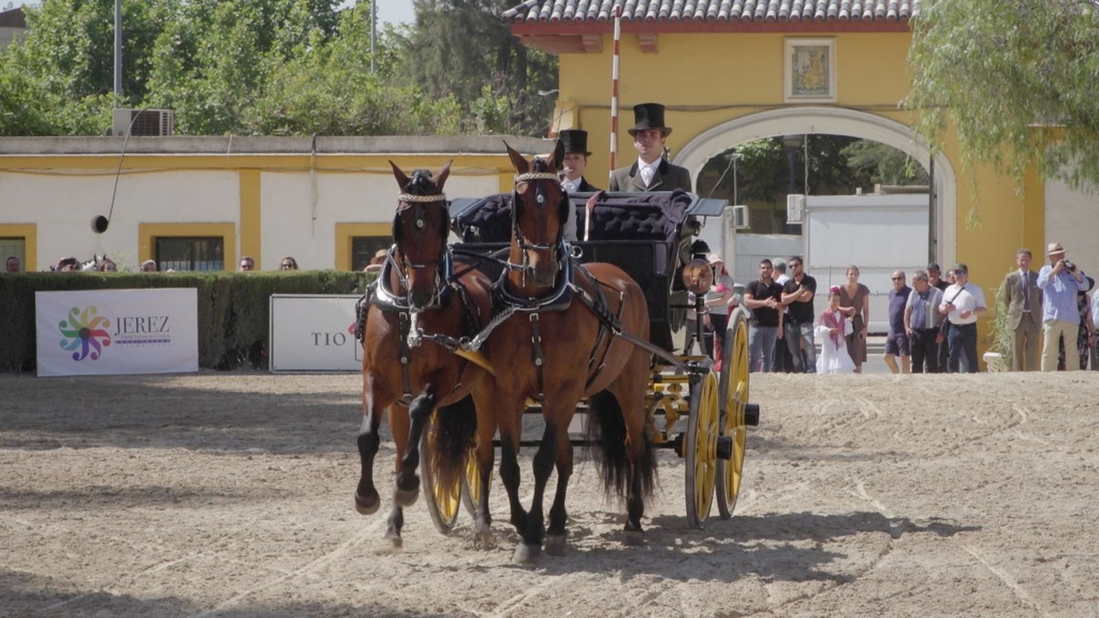 todocaballo 20 de mayo