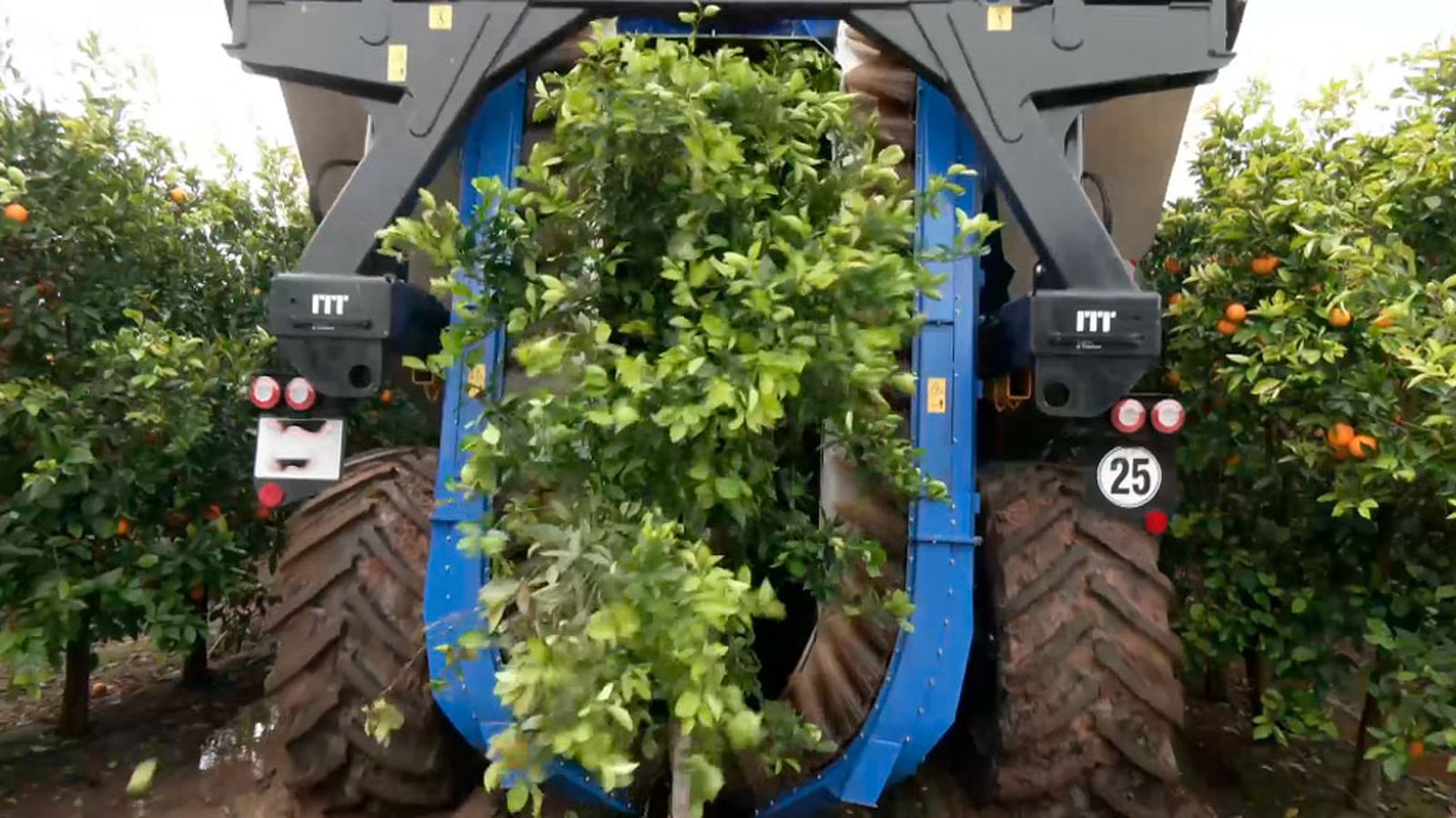 Naranjas de alta tecnología