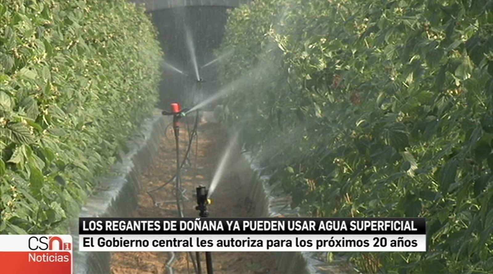 Captura regantes