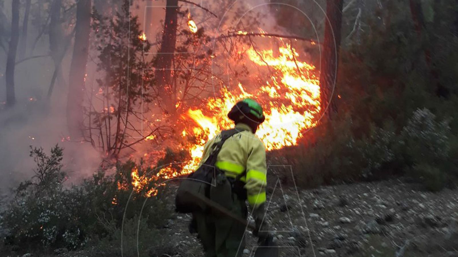 fuego