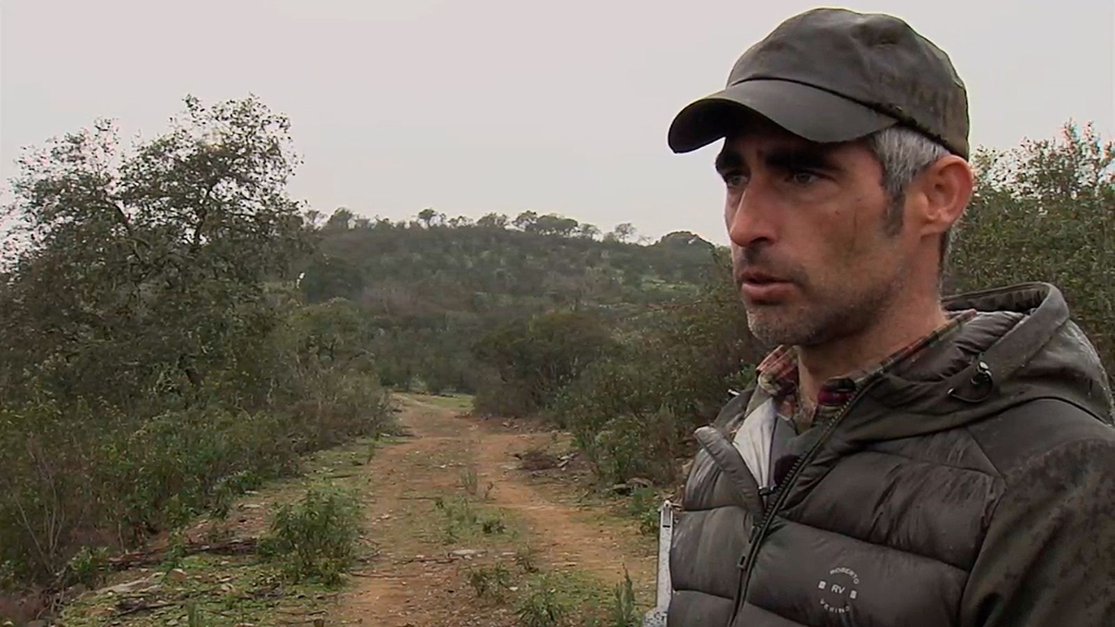 Crónica de la montería de 'El Ramiro' en la sierra de Huelva