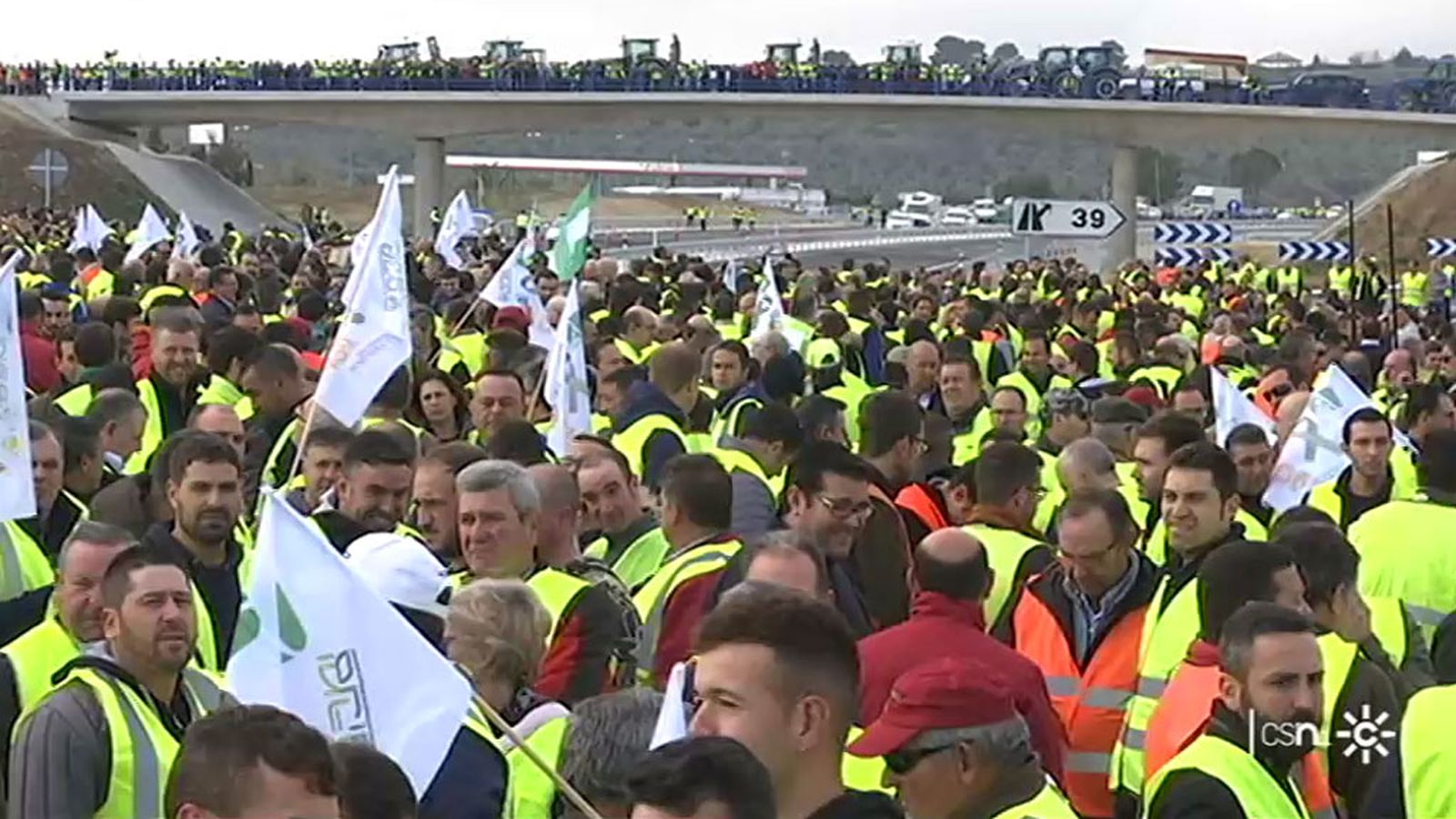 Olivareros Jaén n1