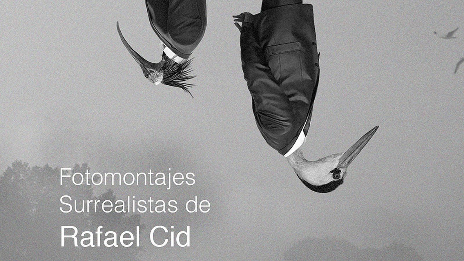 Comunicación surrealista foto
