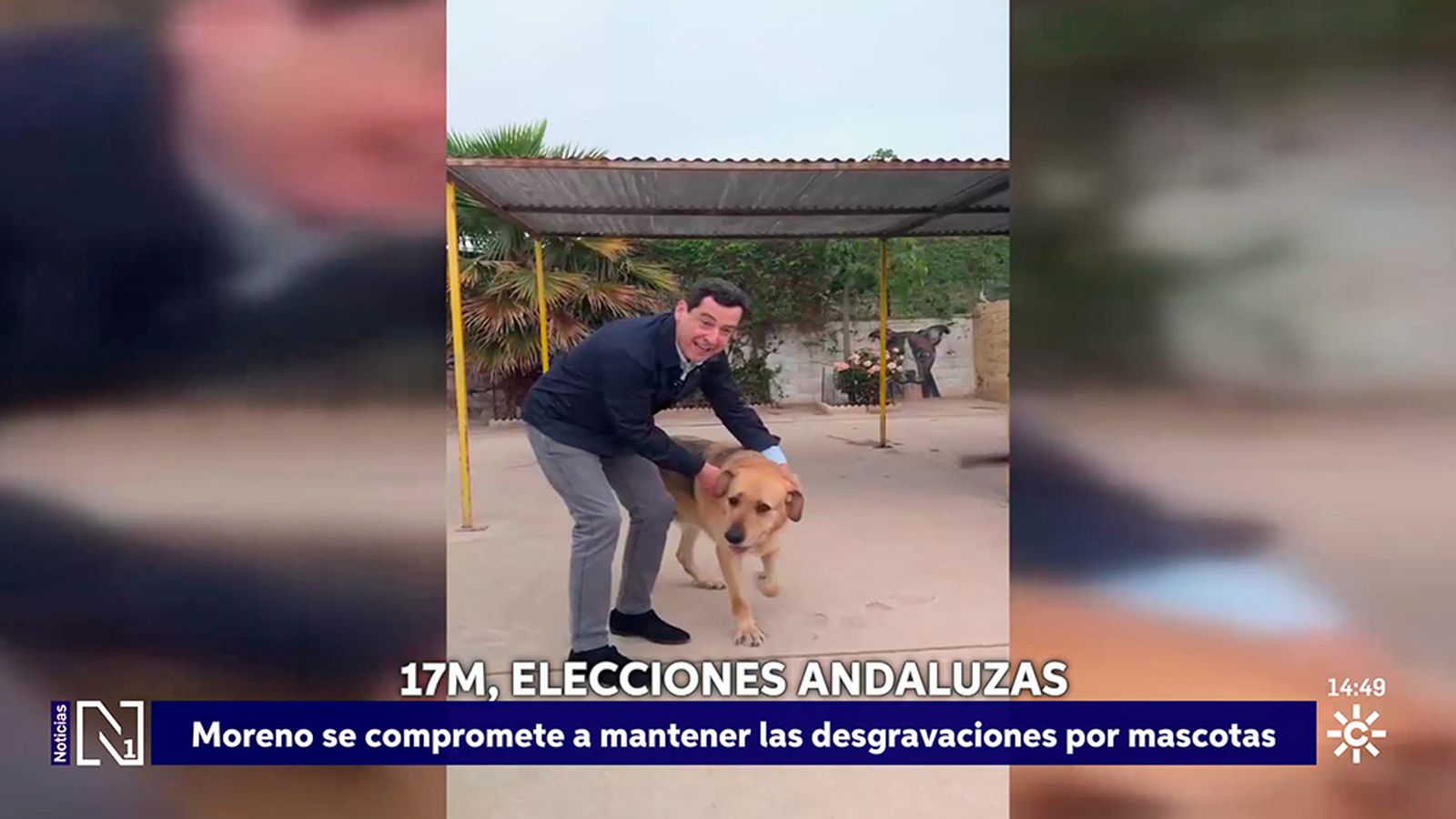 Moreno en la protectora de animales PP