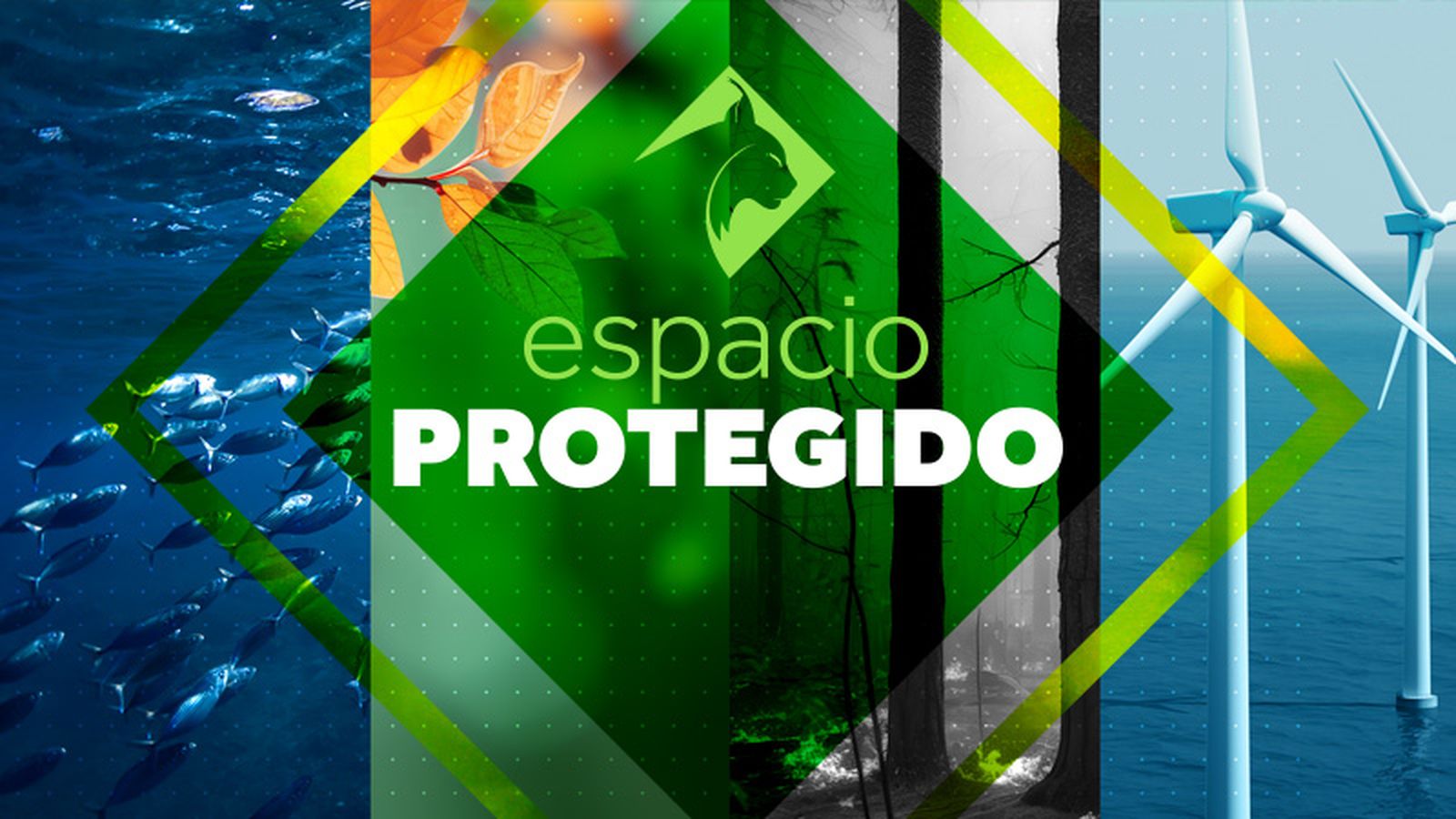 Espacio Protegido Landscape 800x450