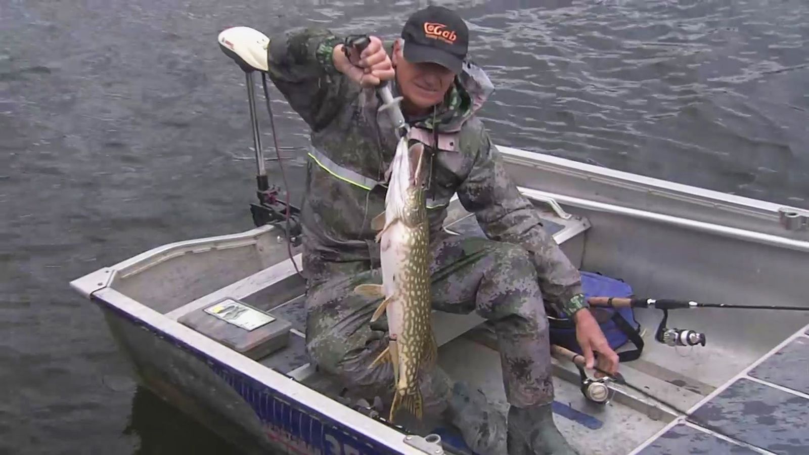 El lucio, un pez con fuerza que es una buena opción de pesca los meses de invierno