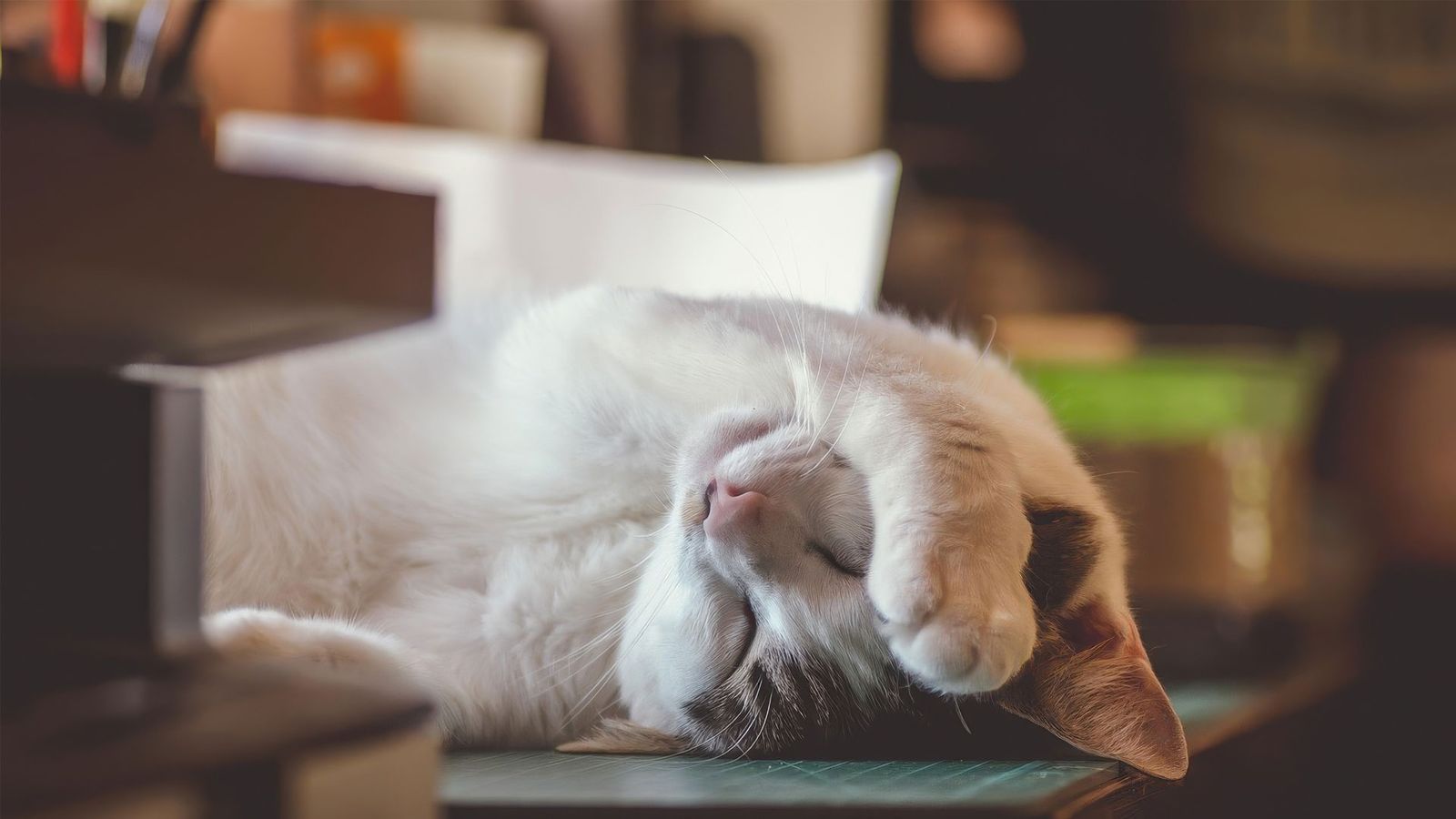 ¿Por qué cada vez dormimos peor?