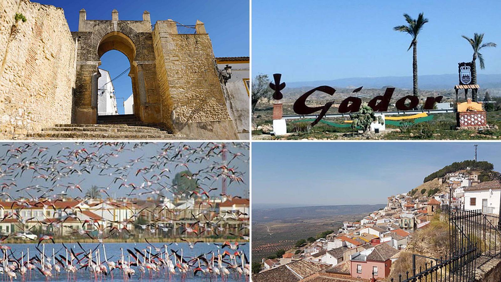 Andalucía Nuestra Comunicación