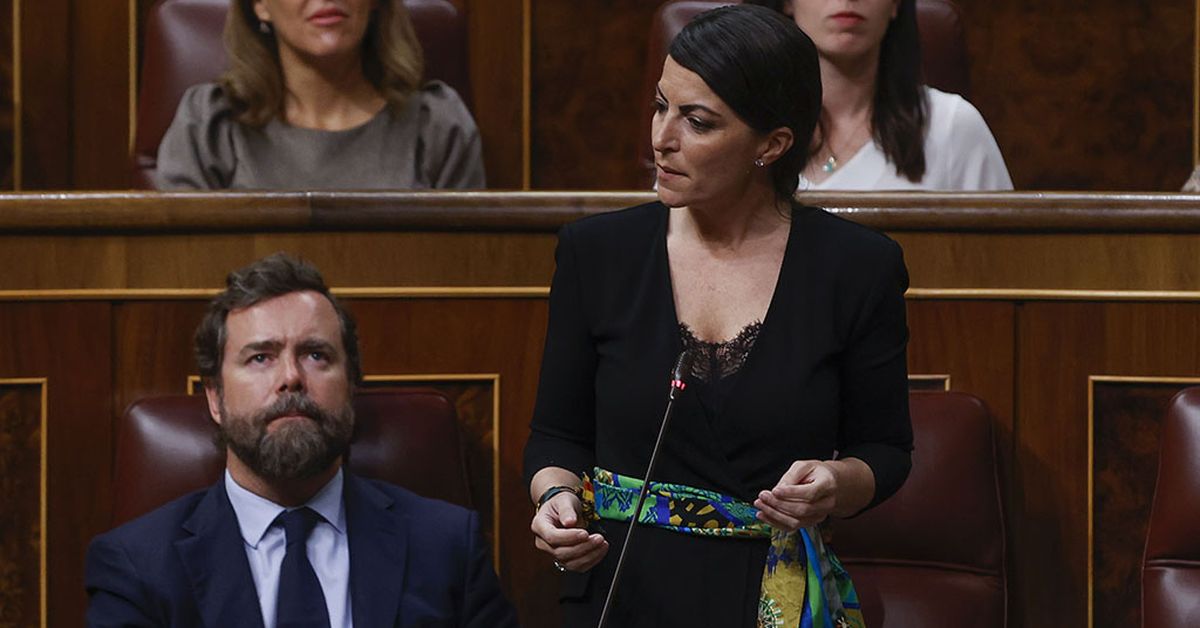 Macarena Olona será la candidata de Vox a la Junta