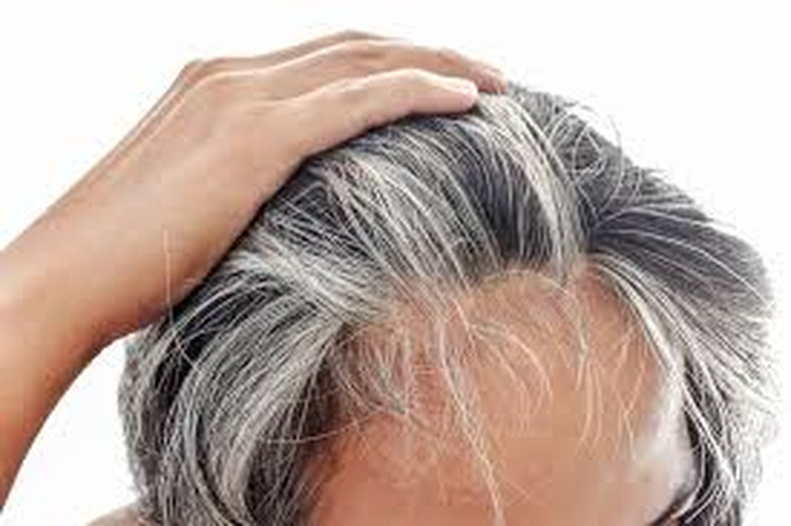 canas