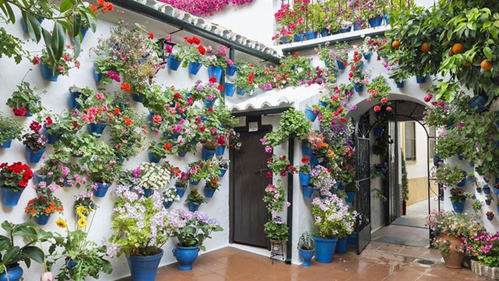 patio cordoba