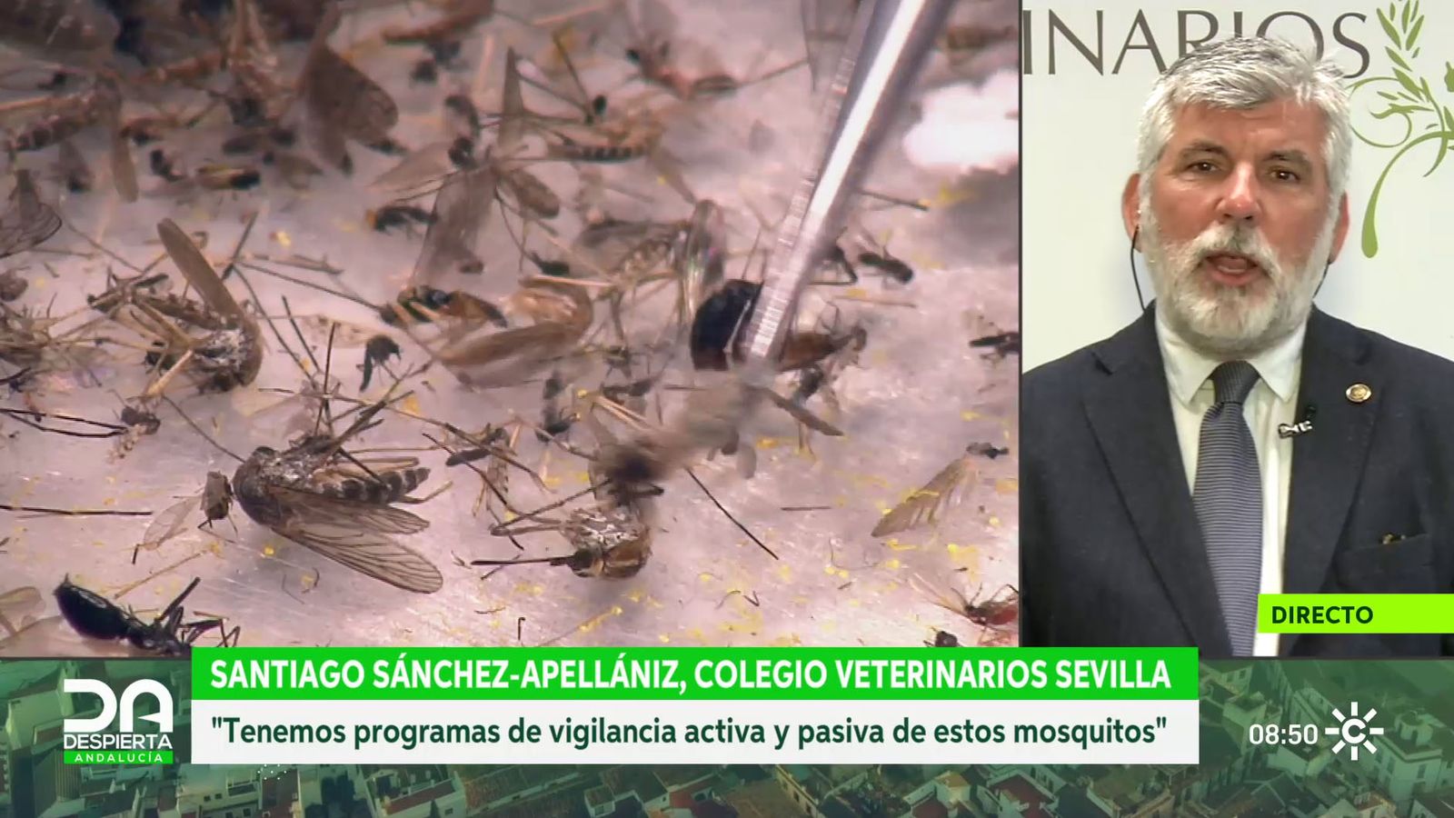 Santiago Sánchez-Apellániz, presidente de los veterinarios