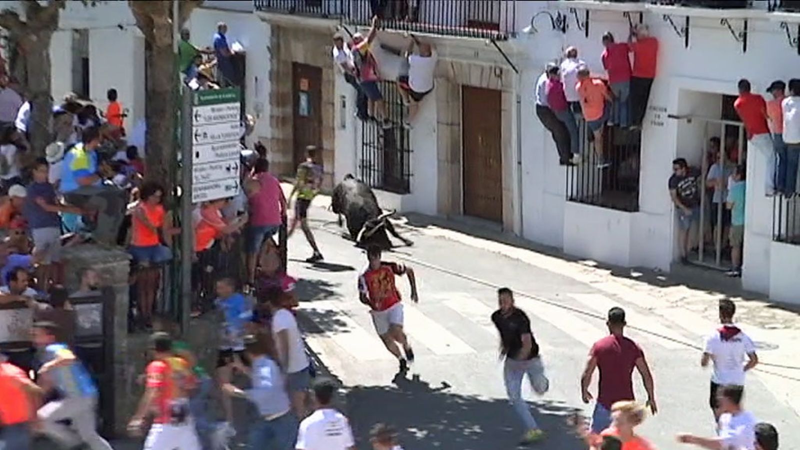 Tapa_toros_Grazalema_1024