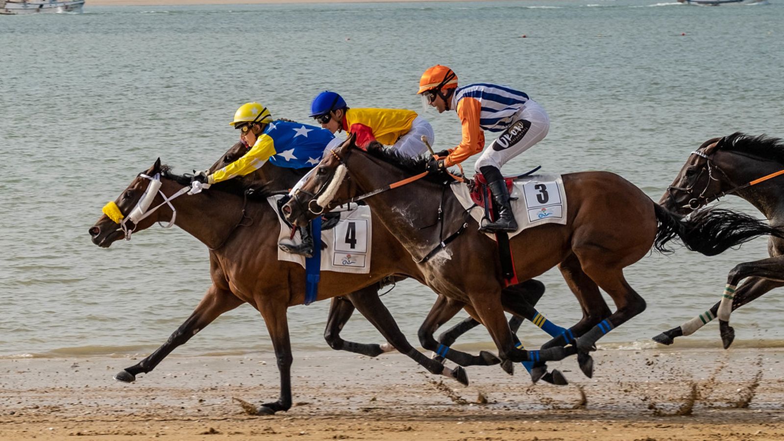 ¿Conoces el origen de las carreras de caballos de Sanlúcar de Barrameda?