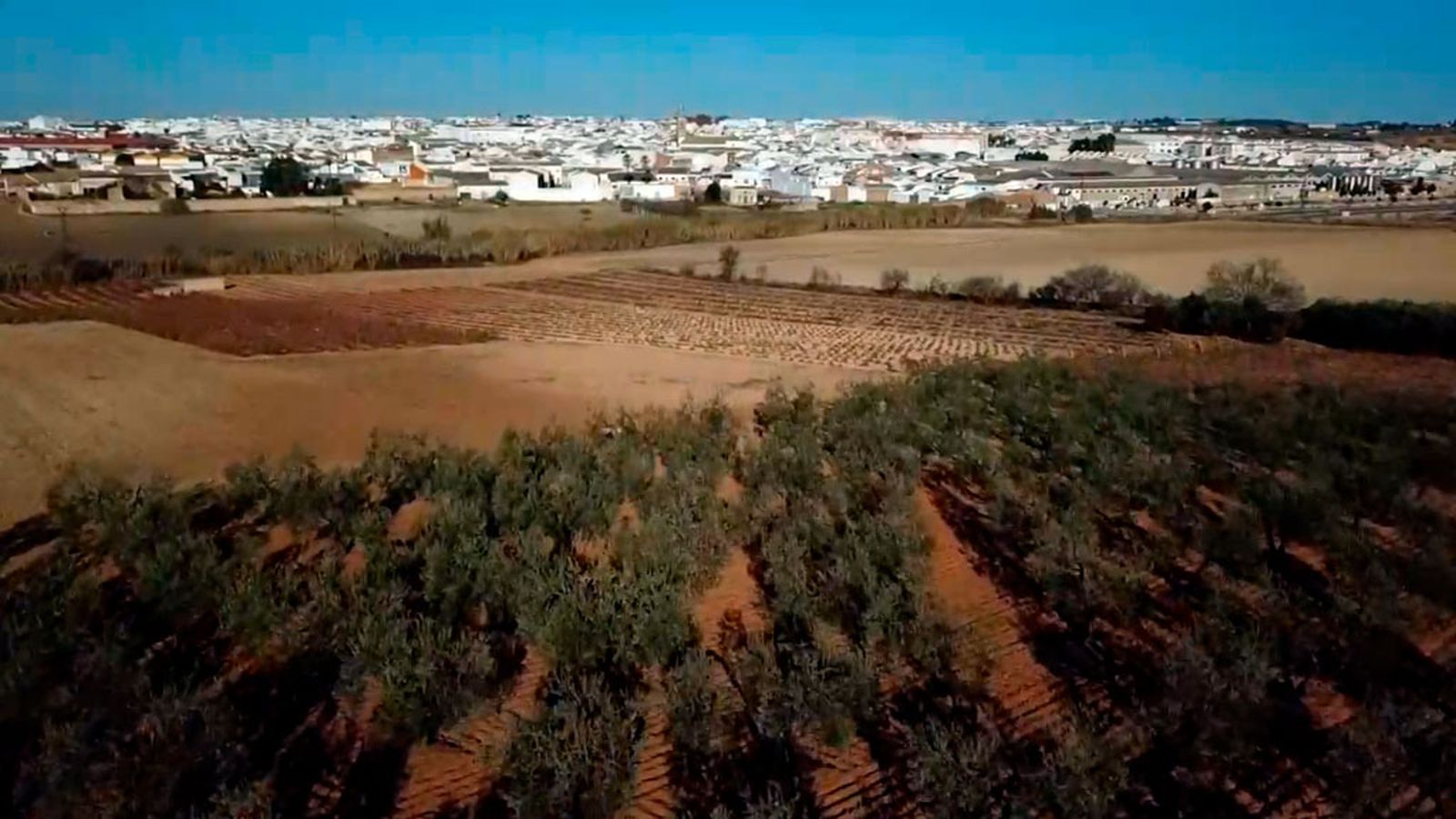 Bollullos Par del Condado, un destino perfecto para el turismo enológico y gastronómico