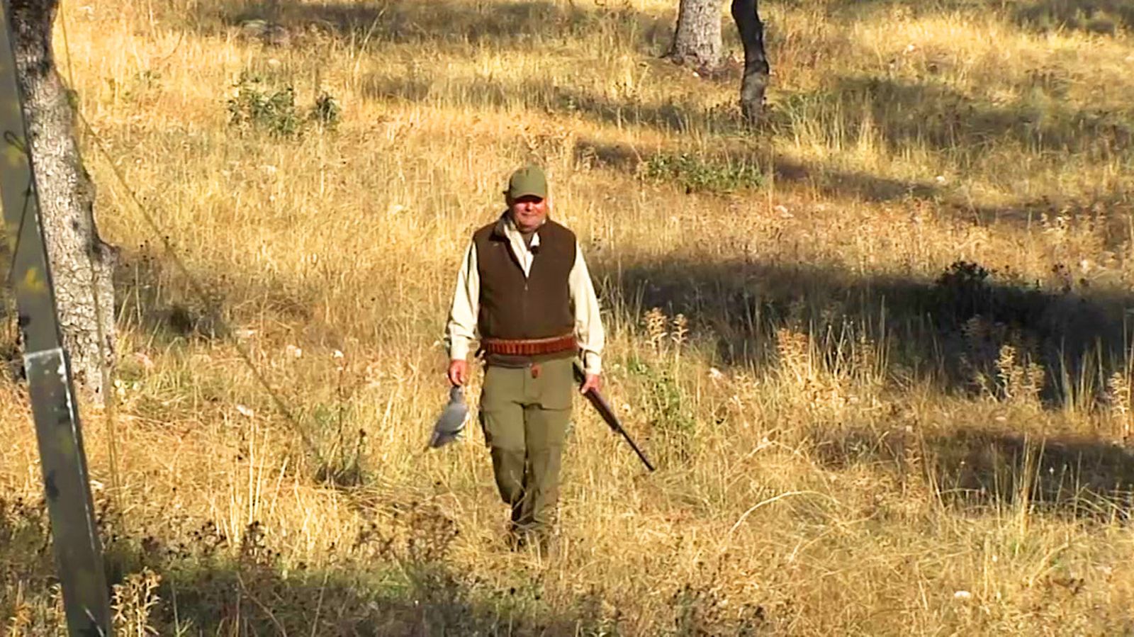 Una buena jornada de caza de palomas torcaces en la modalidad 'con cimbel'