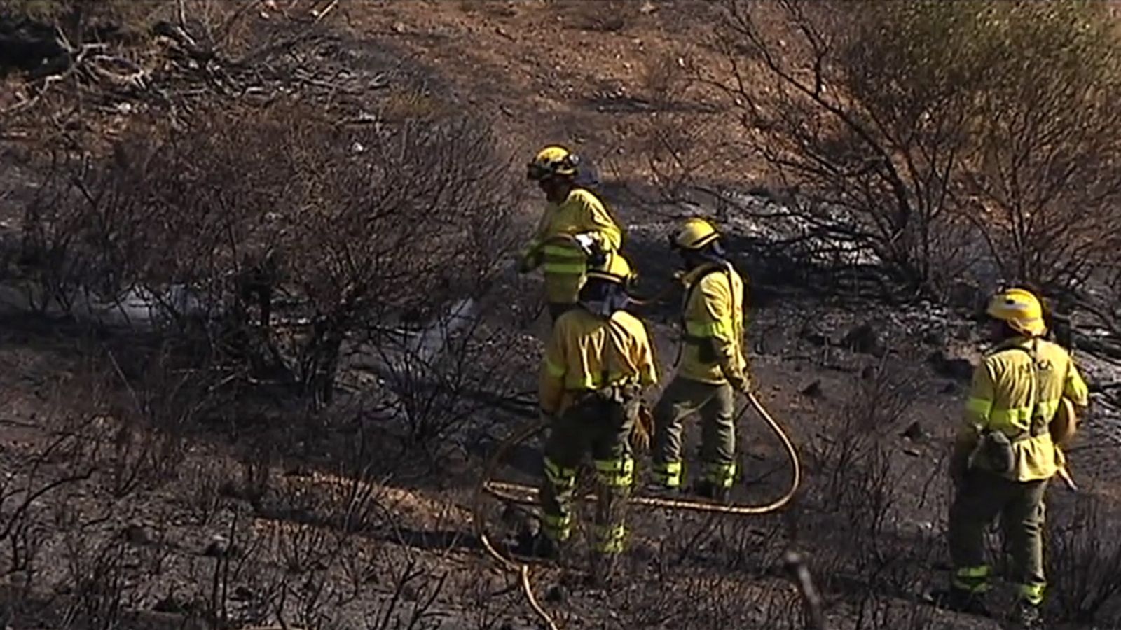 Bomberos Infoca Mijas