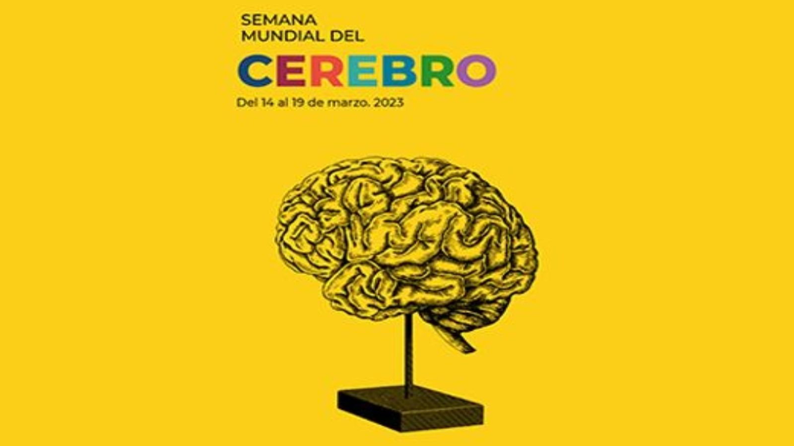Conciencia, 17 marzo