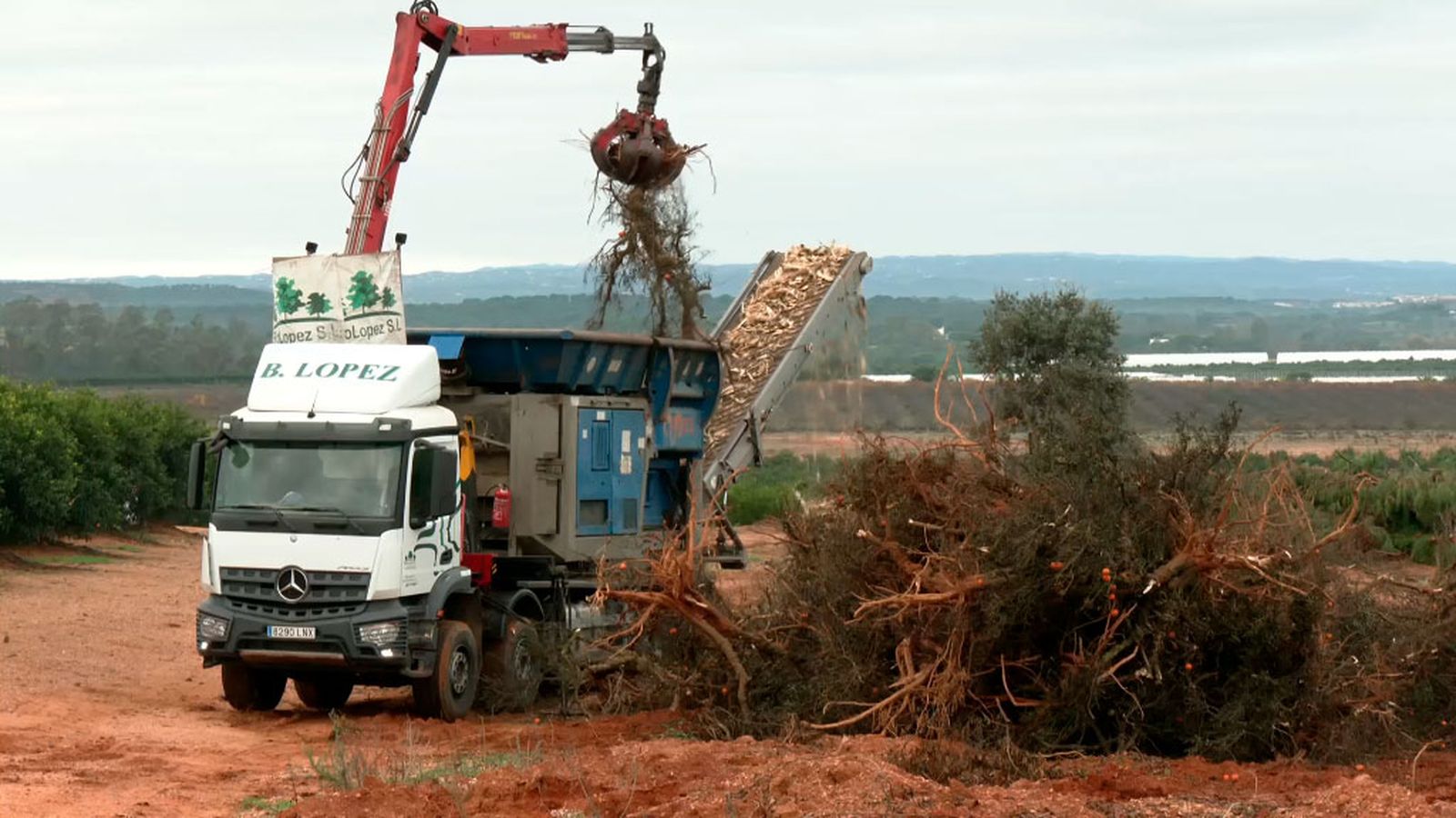 El uso de la biomasa para generar energía