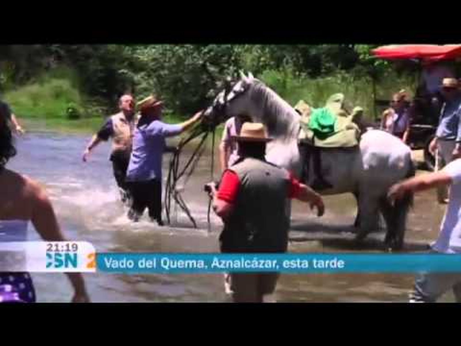Caballo desbocado hiere a ocho personas en el Vado del Quema