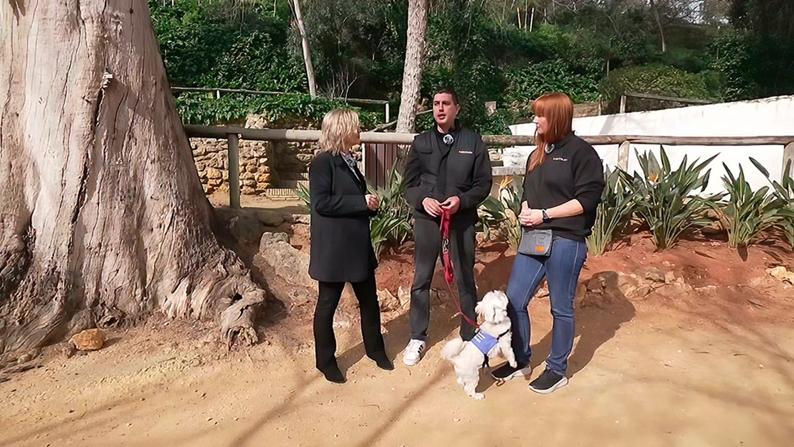 Los perros señal, los oídos de las personas sordas