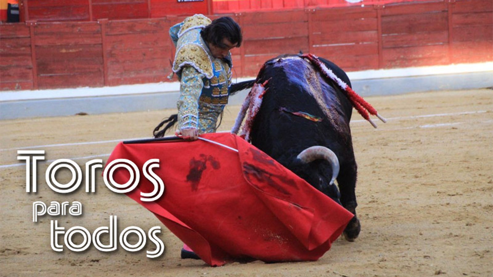toros para todos