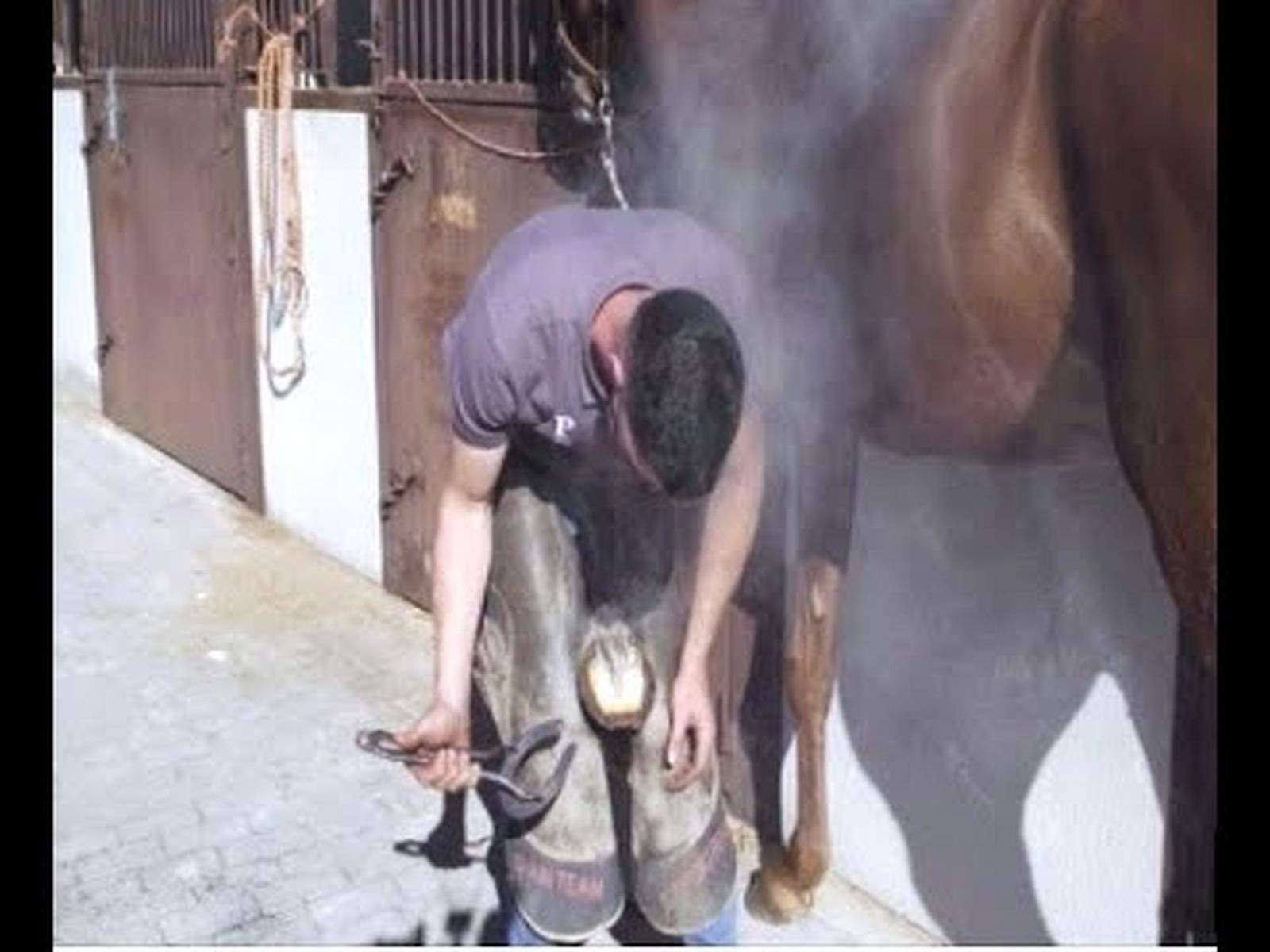 Herrador de caballos: clase práctica en Escuela de Herradores Manuel de la Rosa | Todo Caballo