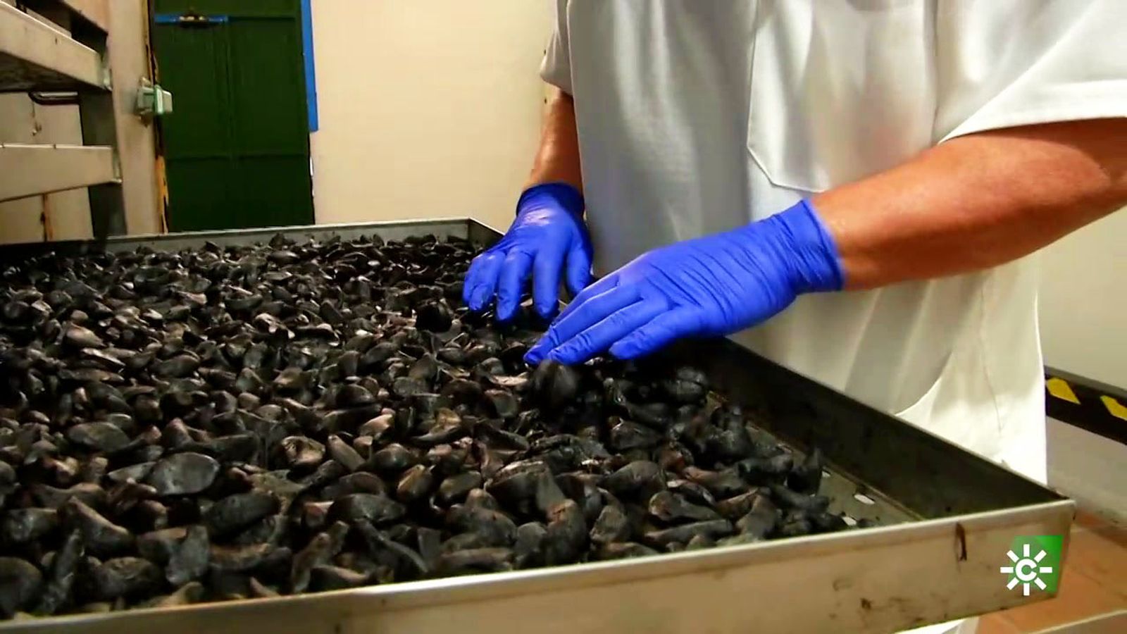 El ajo negro, un ingrediente que está conquistando la alta cocina desde Andalucía