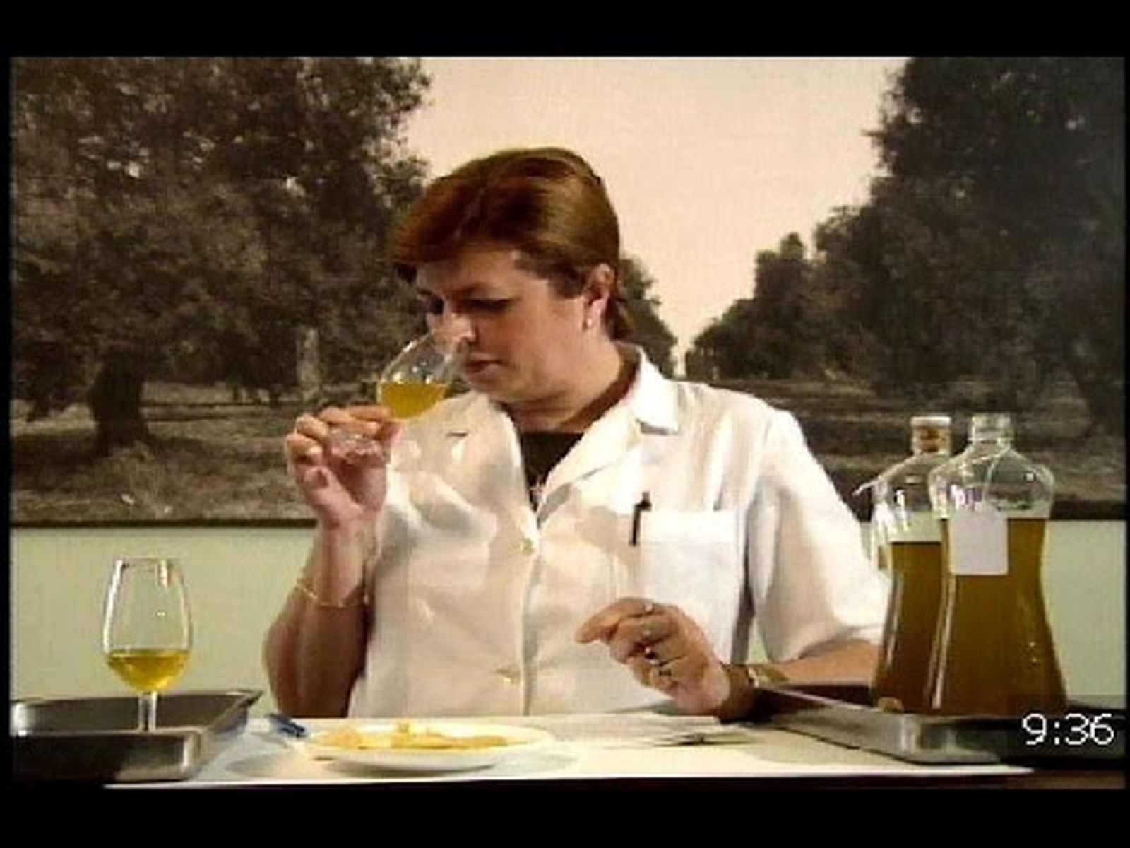 Catadores de aceite: Andalucía años 90 (1/2)