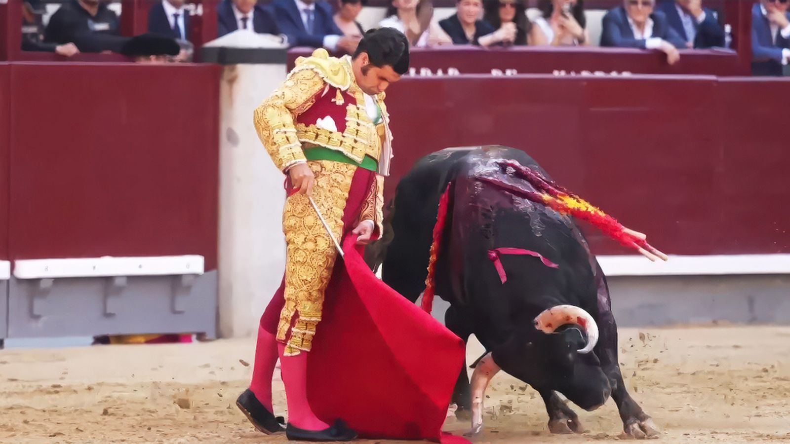 Morante vuelve a ganarse nuestro Orobroy con su gran faena en las Ventas