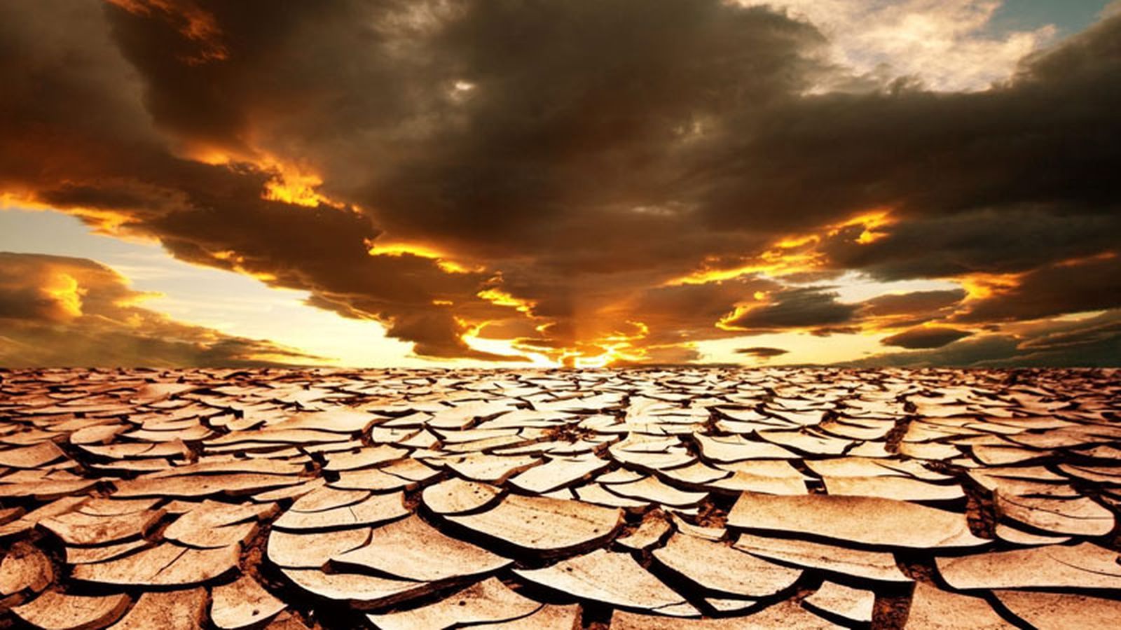 Conciencia 800x450 2
