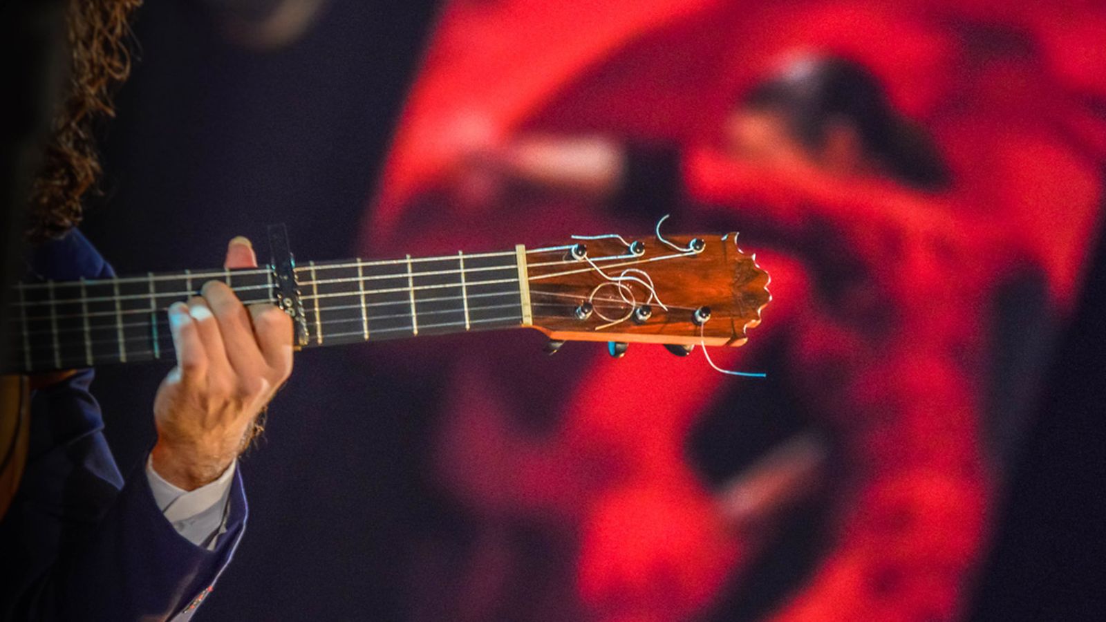Flamenco1
