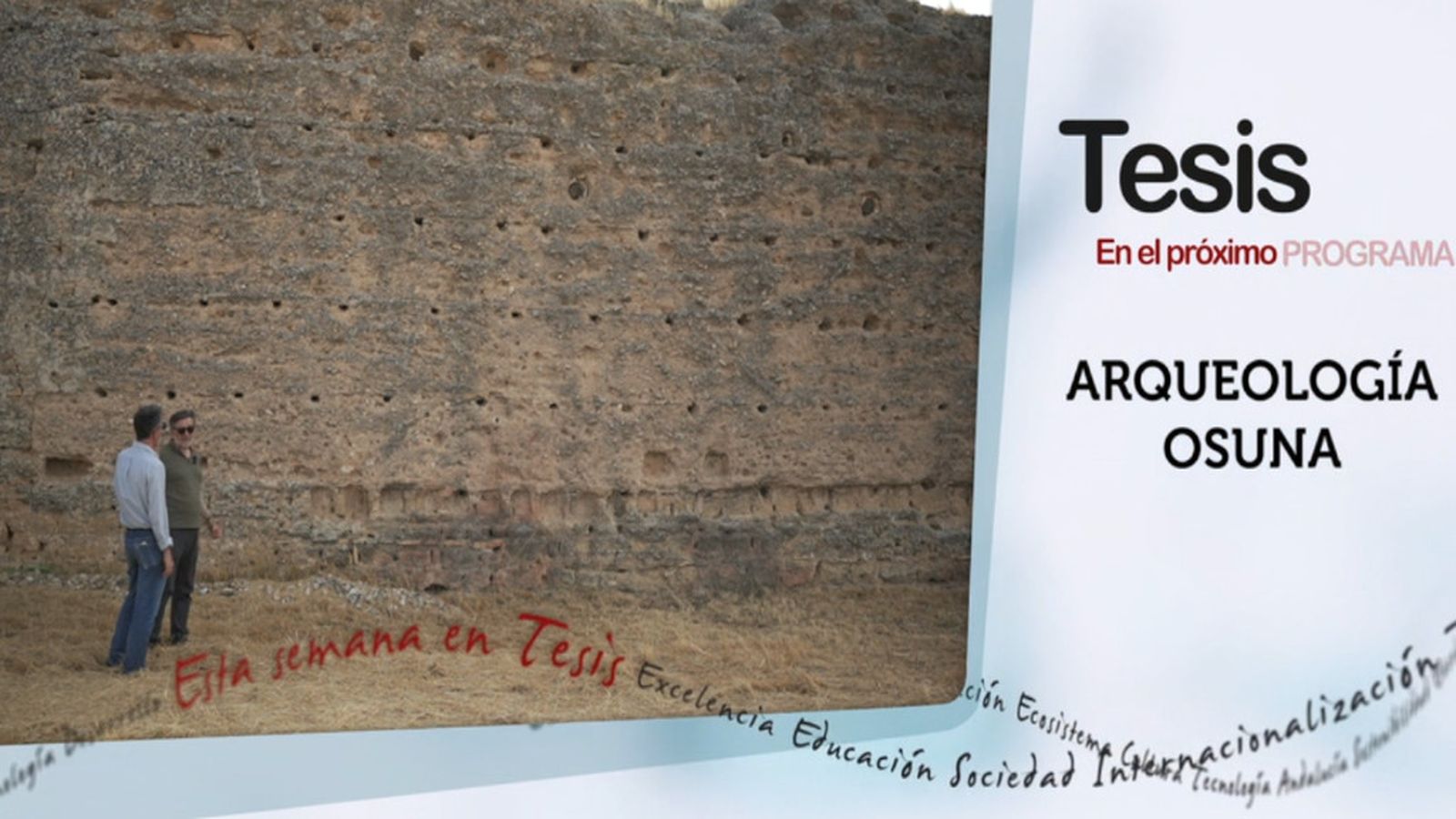 tesis canal sur