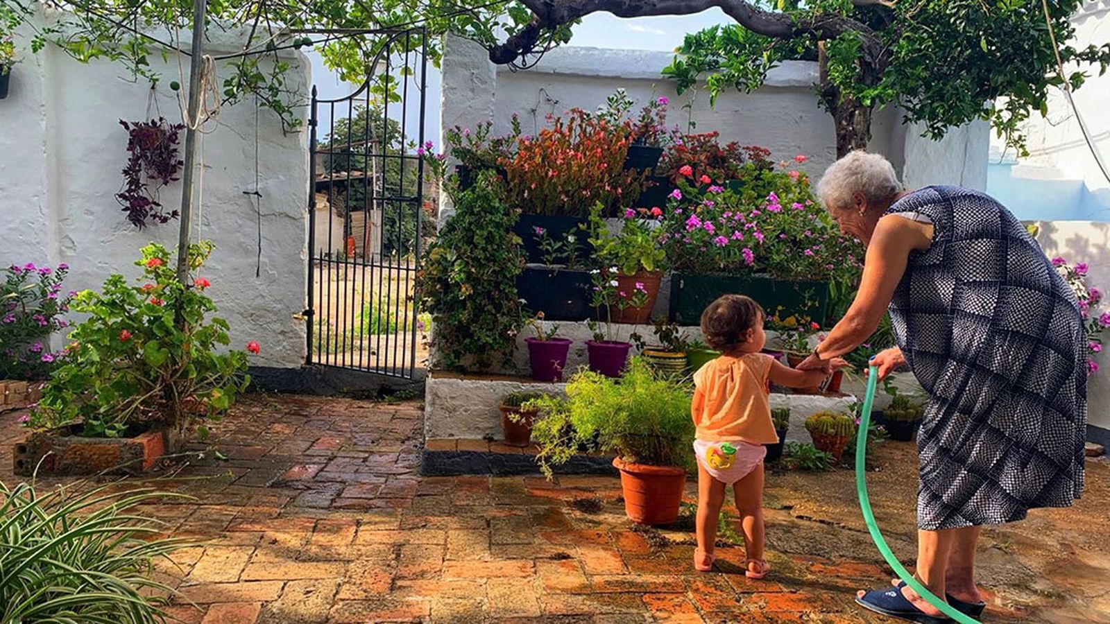 patio