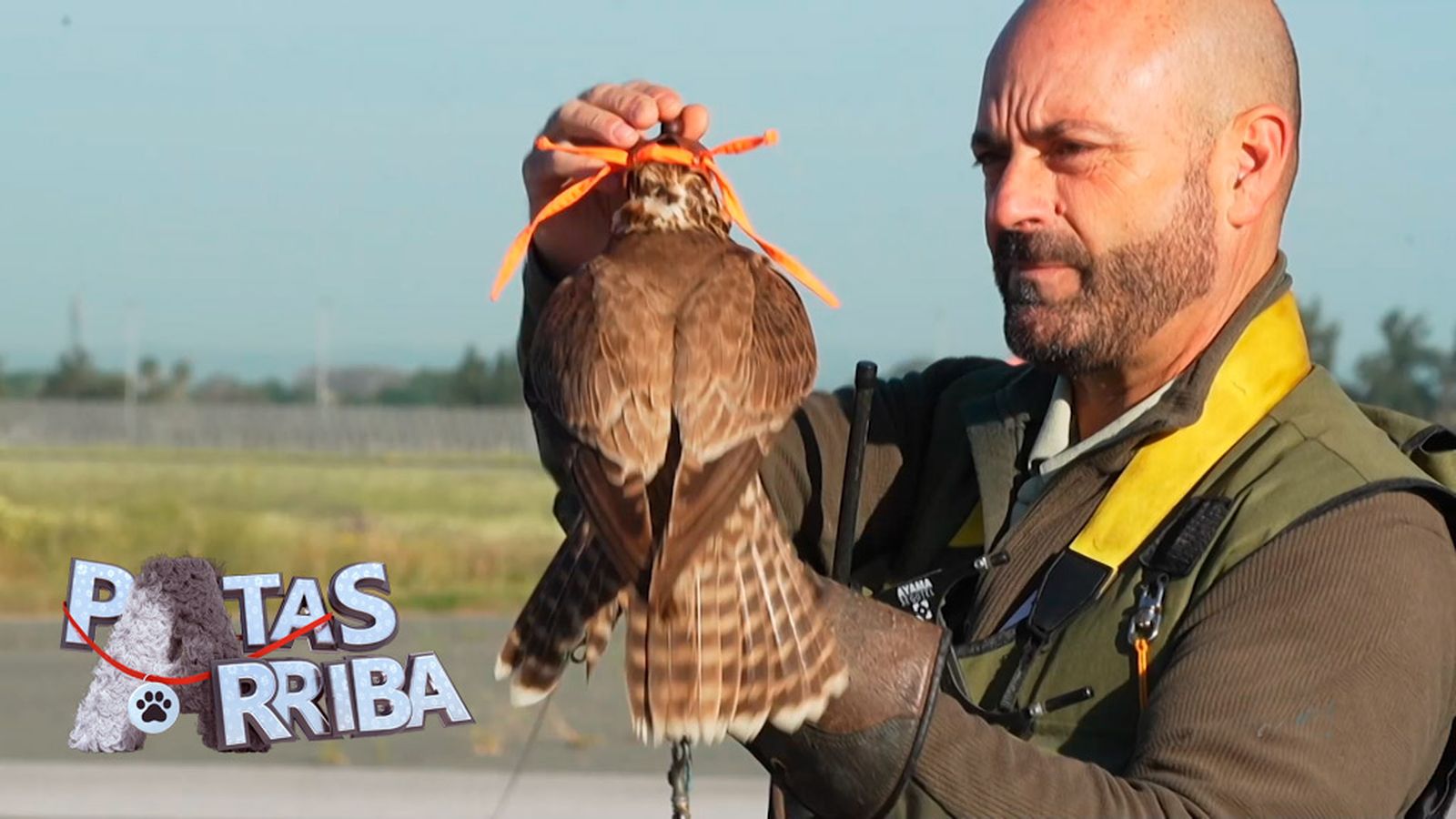 Patas arriba Promo