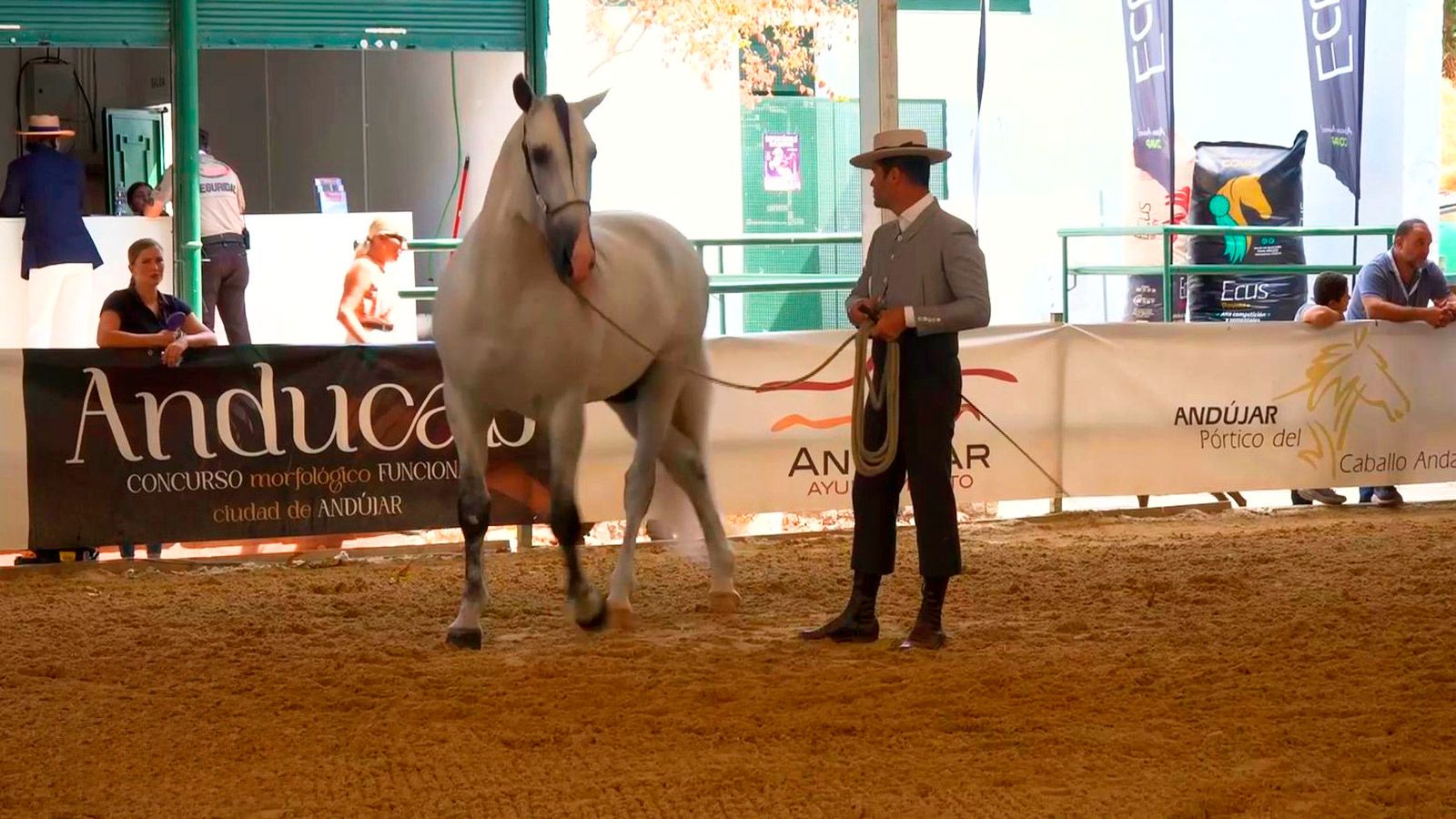 Andújar se convierte en el epicentro del mundo del caballo con la llegada de 'Anducab'