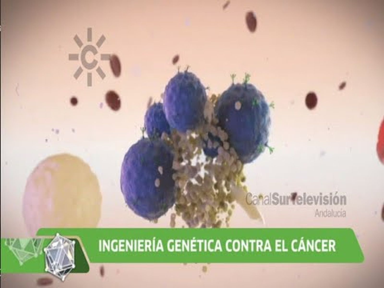 Terapias celulares contra el cáncer | Día Mundial contra el cáncer