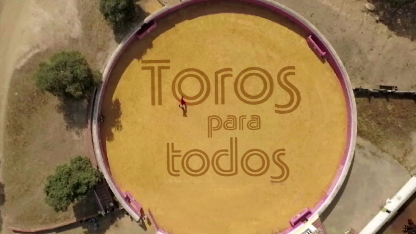toros