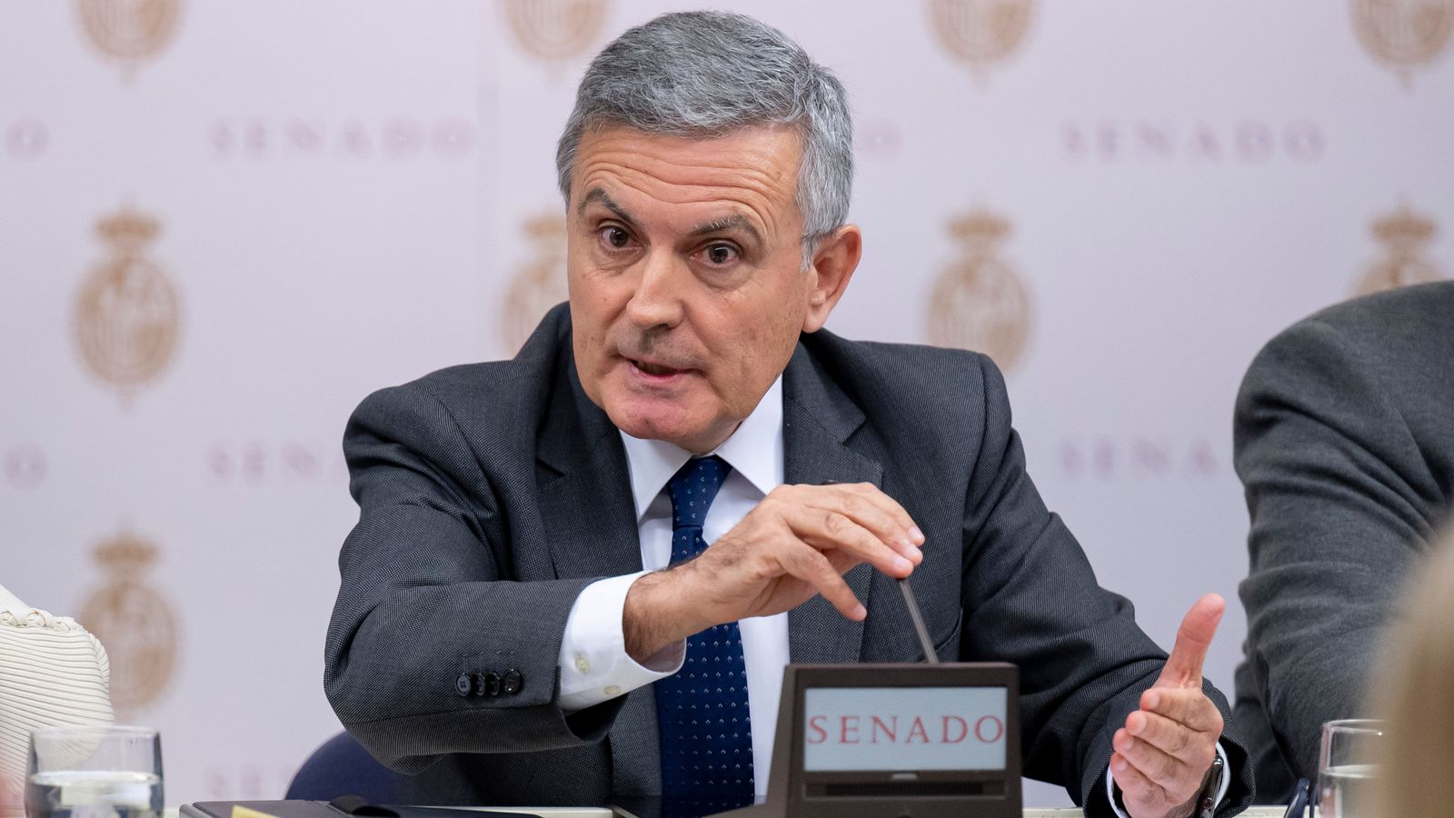 Pedro Saura comparece en la comisión de investigación del Senado sobre el ferrocarril