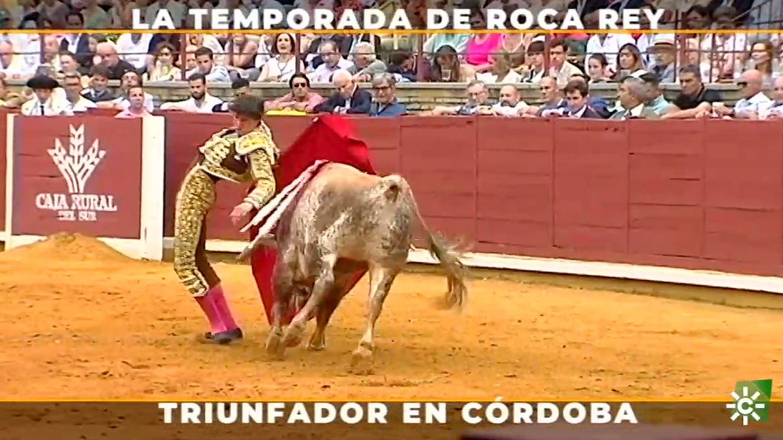 Roca Rey